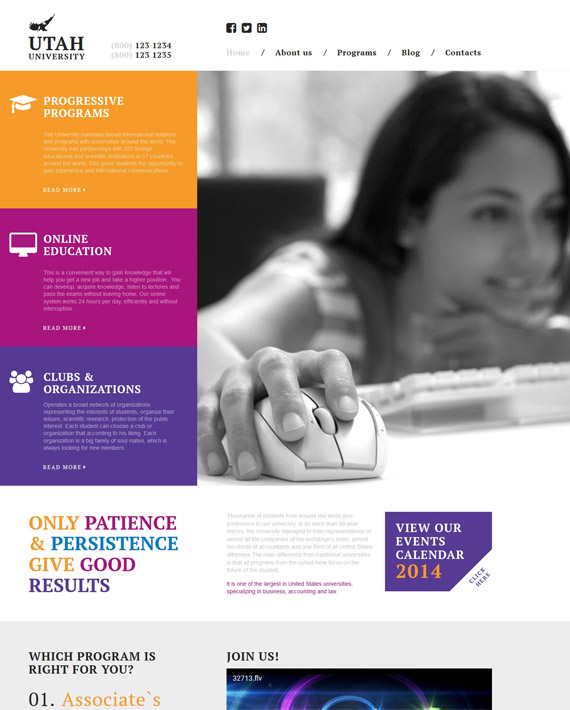 web design service idukki